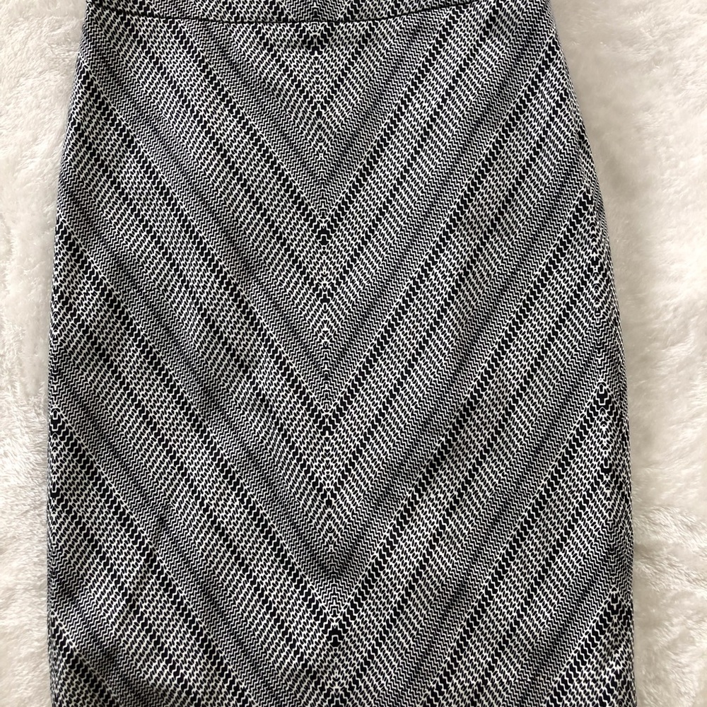 The Limited Pencil Skirt Geometric